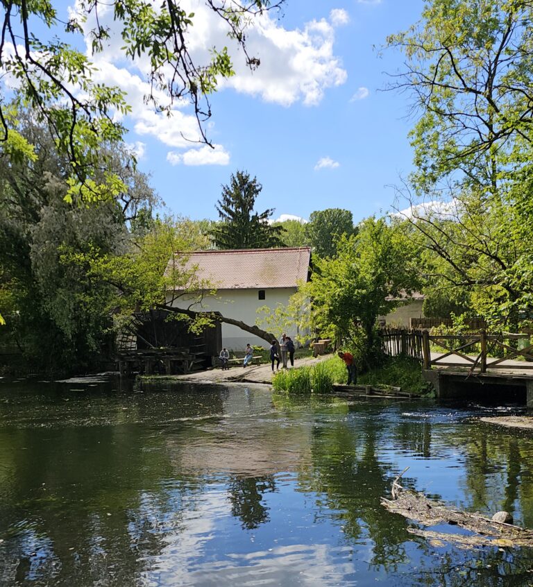 Odkryj Žitný Ostrov: Raj na Słowacji dla miłośników natury i relaksu